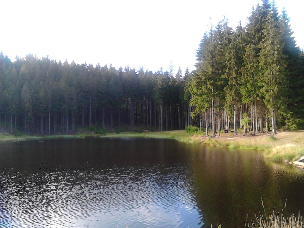 Apartamento Jiřetínská chaloupka Jiřetín pod Jedlovou Exterior foto